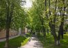 USV Iași: Cel mai verde campus din oraș, locul unde educația prinde rădăcini în natură