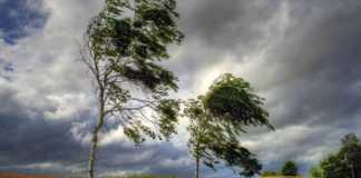 Cod Galben de Vânt și Instabilitate Atmosferică în Estul României