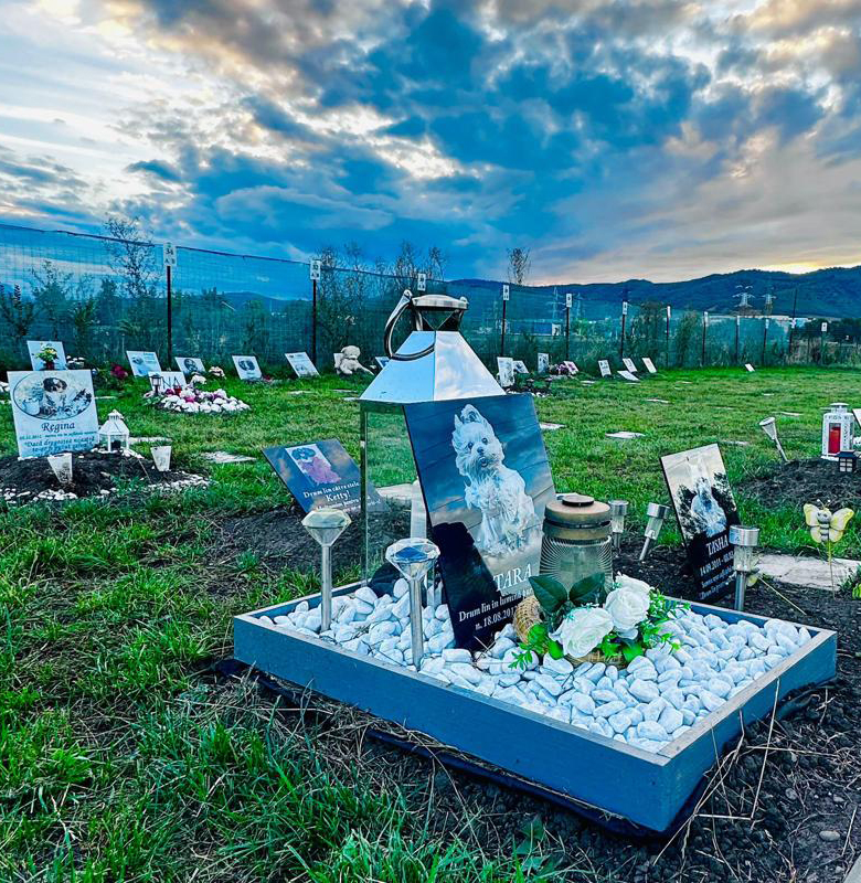 H11 - Iașul va avea cimitir pentru animale: Primăria a aprobat terenul de 20 de hectare