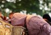 Peste 145.000 de pelerini s-au închinat la racla Sfintei Cuvioase Parascheva la Iași: