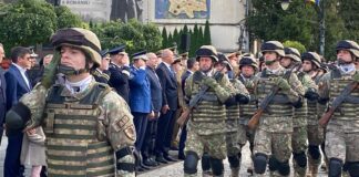 Ziua Armatei la Iași: pietonal plin la ceremonie, distincții înmânate în formație și retragere cu torțe diseară Militar în poziție de onor la ceremonia de Ziua Armatei de pe Pietonalul Ștefan cel Mare din Iași